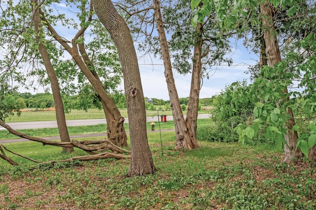 26042 Sunset Dr, Chisago City, MN 55013 - view of yard