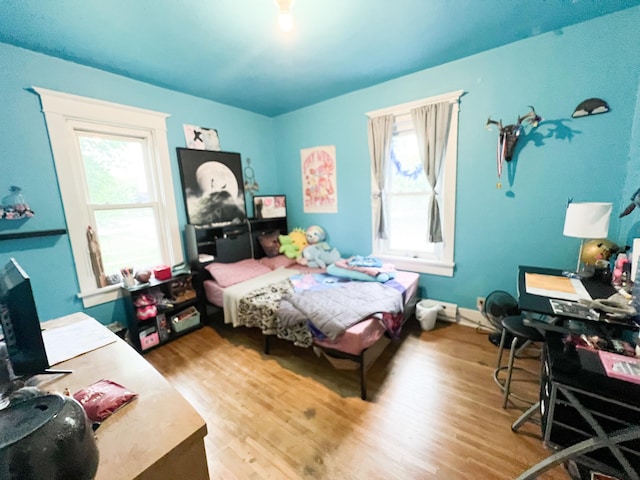 408 Lafayette Ave, Fulda, MN 56131 - bedroom featuring wood finished floors and an office area