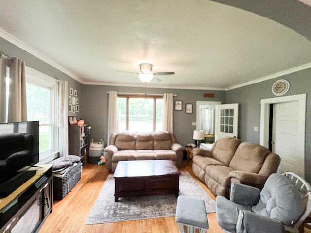 408 Lafayette Ave, Fulda, MN 56131 - living room with light wood-style floors, healthy amount of natural light, and ornamental molding