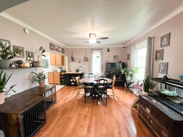 408 Lafayette Ave, Fulda, MN 56131 - dining room featuring light wood-type flooring, a ceiling fan, and ornamental molding