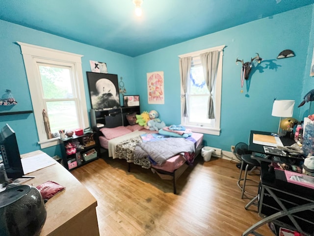 408 Lafayette Ave, Fulda, MN 56131 - bedroom featuring multiple windows and wood finished floors