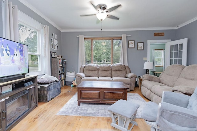 408 Lafayette Ave, Fulda, MN 56131 - living area with a ceiling fan, light wood-type flooring, and crown molding