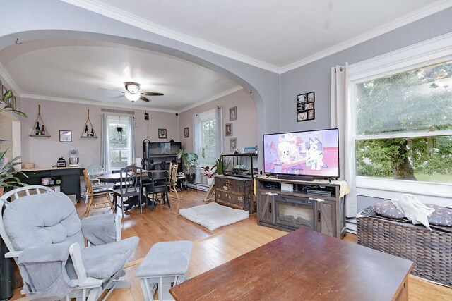 408 Lafayette Ave, Fulda, MN 56131 - living room featuring light wood-style flooring, arched walkways, ornamental molding, and a ceiling fan