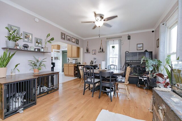 408 Lafayette Ave, Fulda, MN 56131 - dining space with ceiling fan, light wood-style floors, and ornamental molding