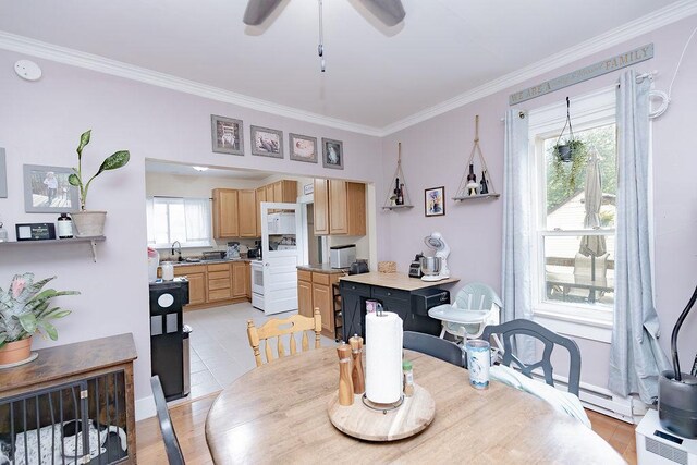 408 Lafayette Ave, Fulda, MN 56131 - dining space featuring ornamental molding, a ceiling fan, and light tile patterned floors