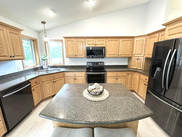 12224 Radisson Rd NE, Blaine, MN 55449 - kitchen with stainless steel appliances, vaulted ceiling, a sink, a textured ceiling, and light wood finished floors