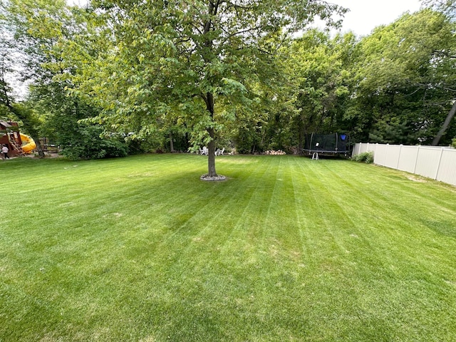 12224 Radisson Rd NE, Blaine, MN 55449 - view of yard with a trampoline