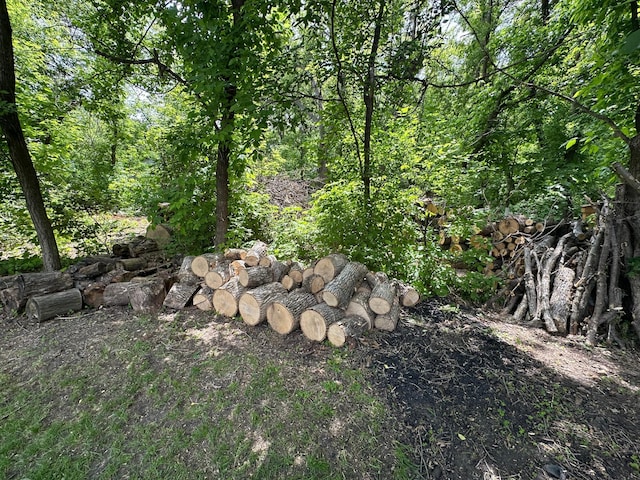 12224 Radisson Rd NE, Blaine, MN 55449 - view of yard with a wooded view