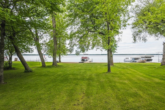 11152 Dakotah Beach Rd, Lake View Twp, MN 56501 - photo 2