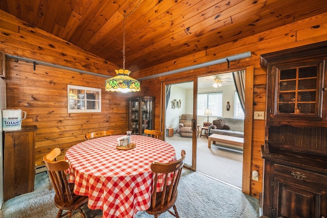 11152 Dakotah Beach Rd, Lake View Twp, MN 56501 - photo 7