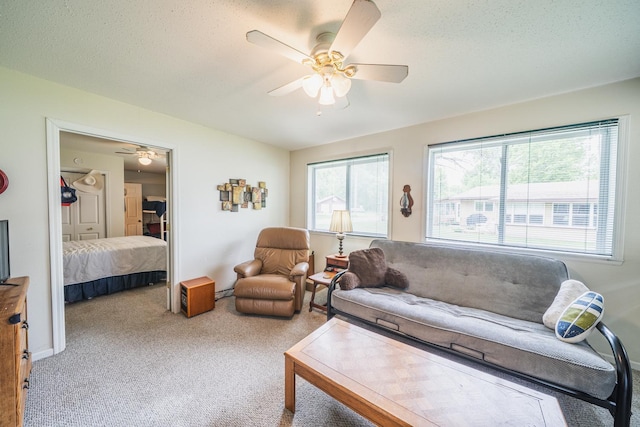 11152 Dakotah Beach Rd, Lake View Twp, MN 56501 - photo 13