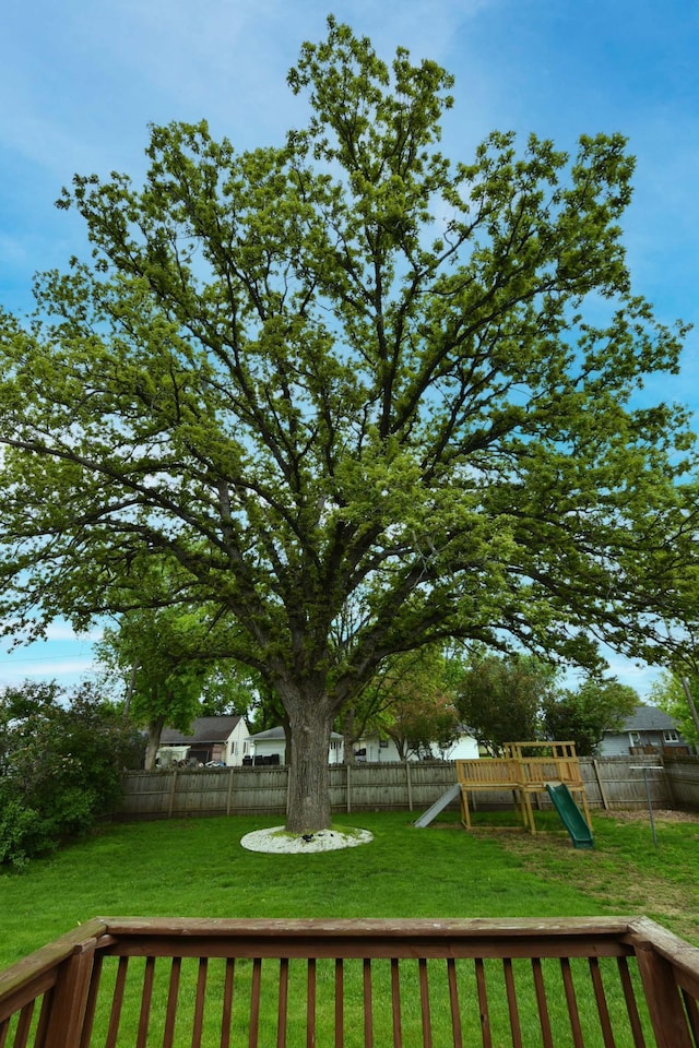 705 1st Ave SE, Pine Island, MN 55963 - view of yard featuring a playground