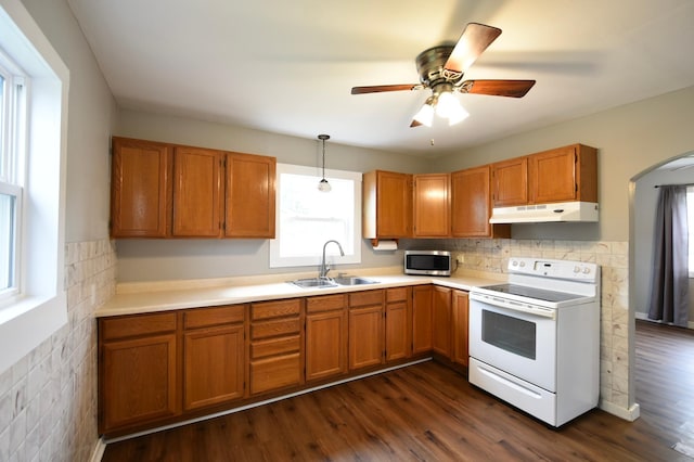 705 1st Ave SE, Pine Island, MN 55963 - kitchen with stainless steel microwave, white electric stove, under cabinet range hood, a sink, and light countertops