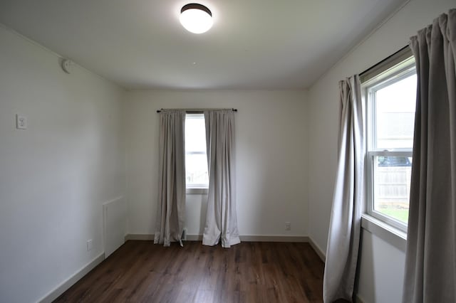 705 1st Ave SE, Pine Island, MN 55963 - empty room with plenty of natural light, wood finished floors, and baseboards