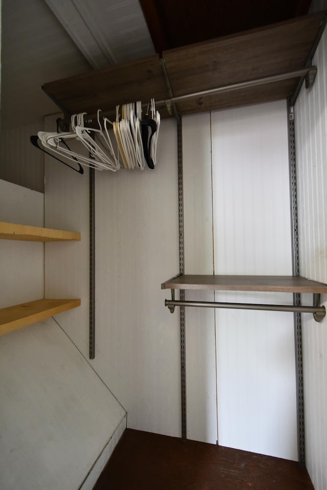 705 1st Ave SE, Pine Island, MN 55963 - view of spacious closet