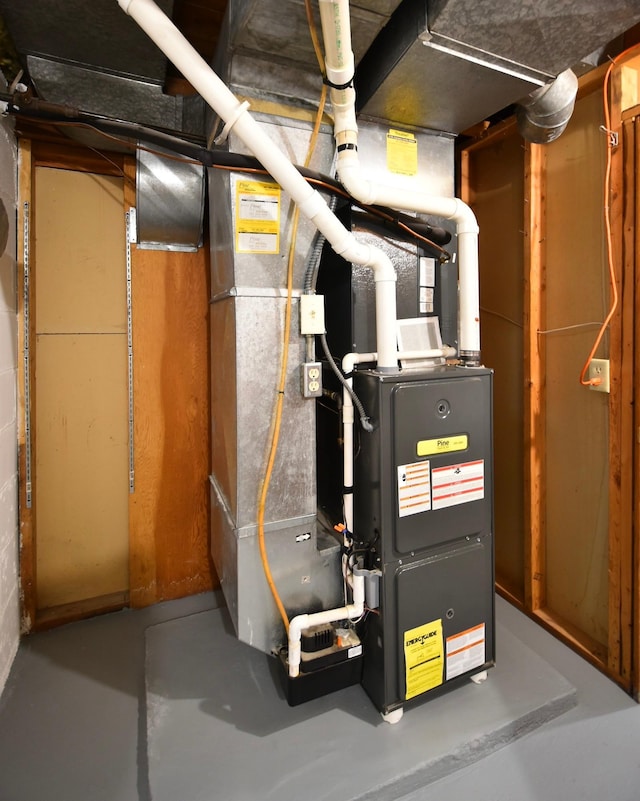 705 1st Ave SE, Pine Island, MN 55963 - utilities featuring heating unit