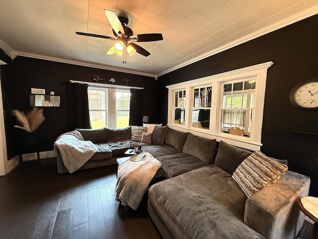 206 Oscar Ave N, Canby, MN 56220 - living room with ornamental molding, ceiling fan, and hardwood / wood-style floors