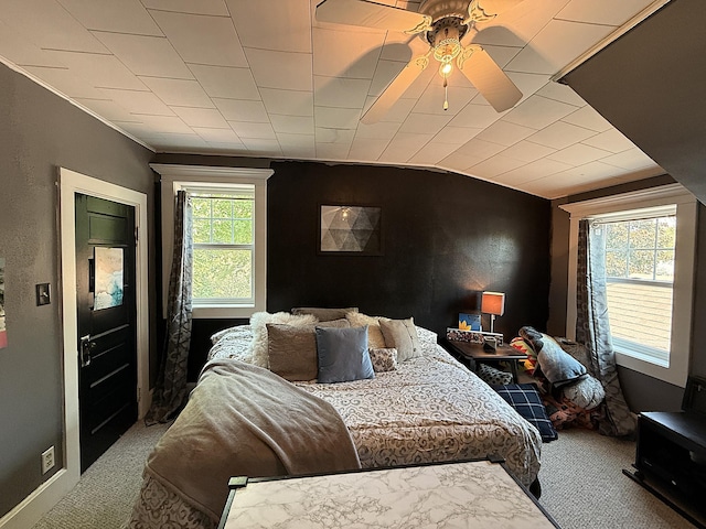 206 Oscar Ave N, Canby, MN 56220 - carpeted bedroom with vaulted ceiling