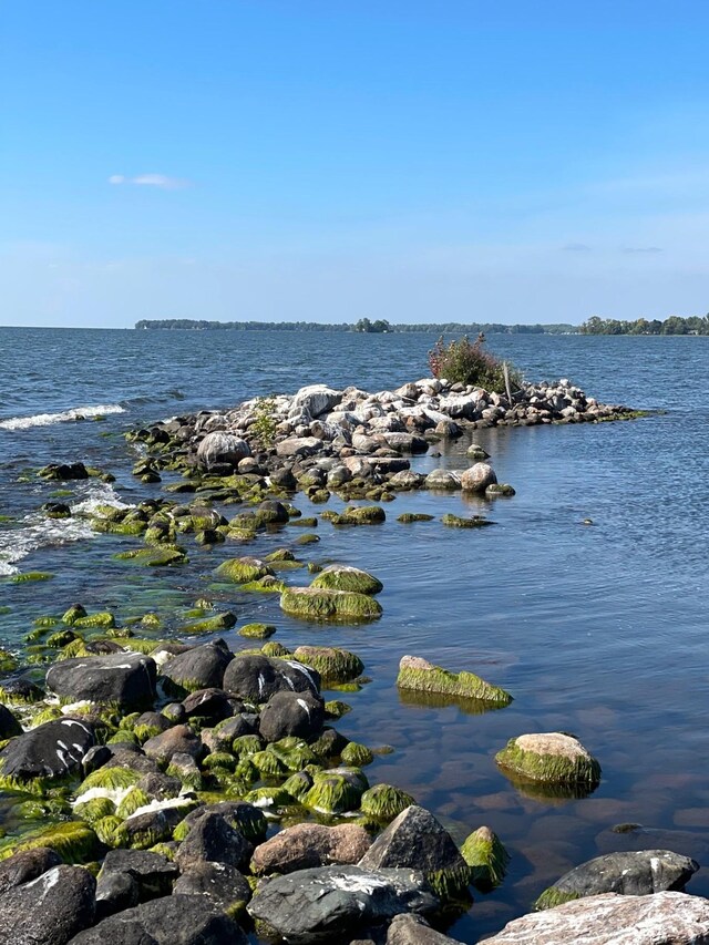 Pine Island, Isle, MN 56342 - photo 2