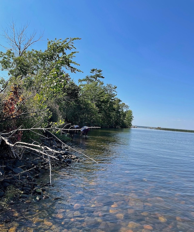 Pine Island, Isle, MN 56342 - photo 3