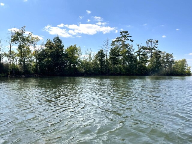 Pine Island, Isle, MN 56342 - photo 4