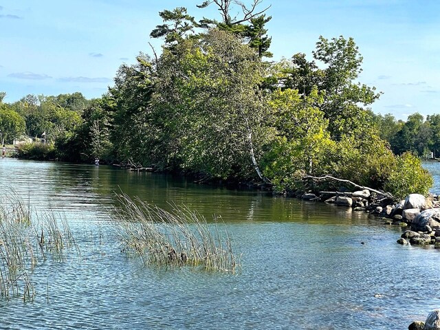 Pine Island, Isle, MN 56342 - photo 8