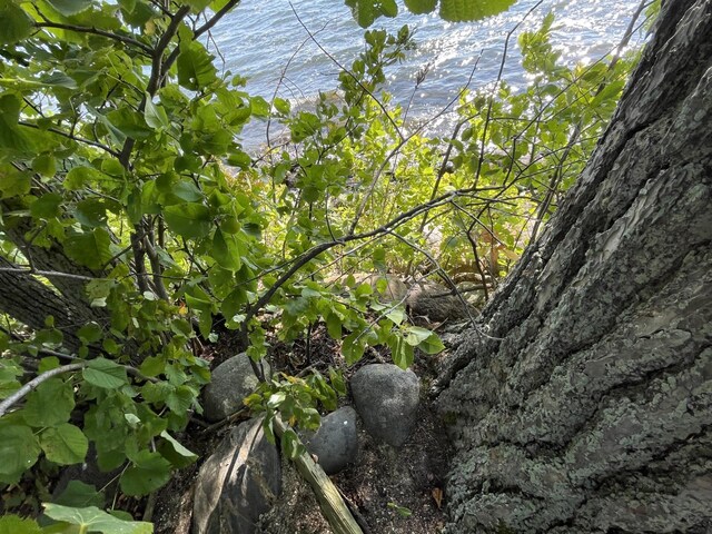 Pine Island, Isle, MN 56342 - photo 9