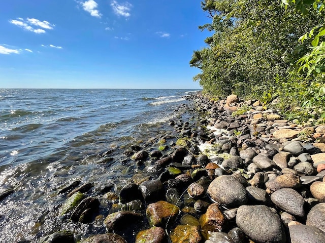 Pine Island, Isle, MN 56342 - photo 10