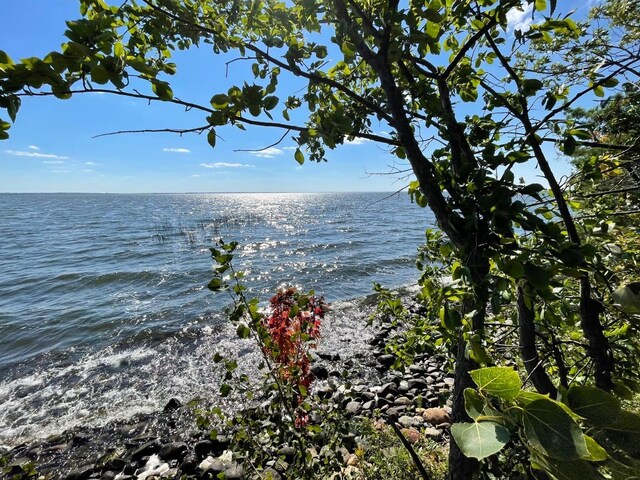 Pine Island, Isle, MN 56342 - photo 11