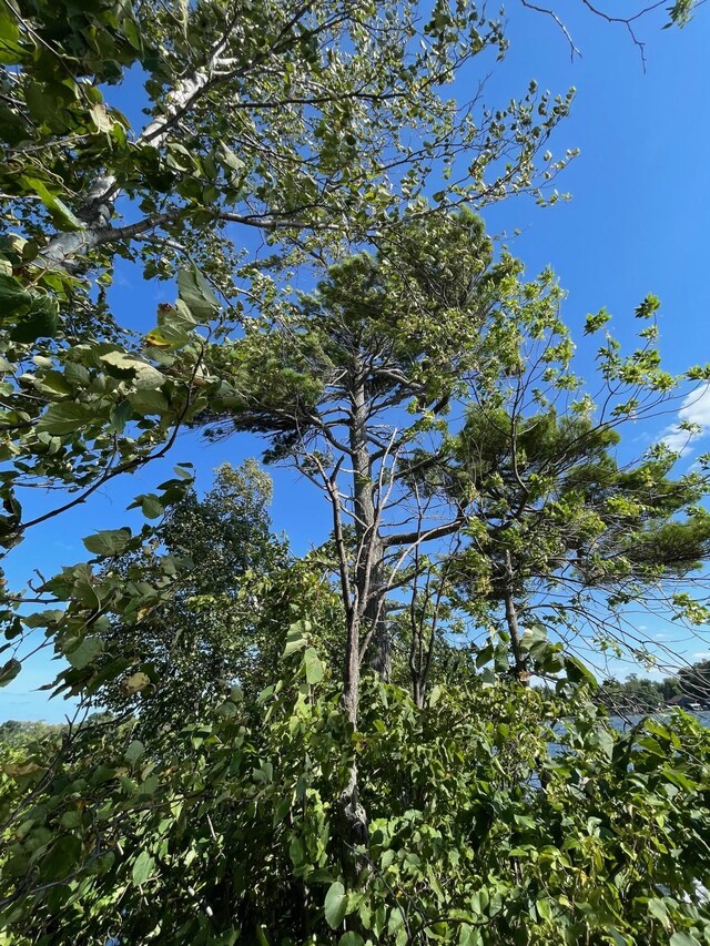 Pine Island, Isle, MN 56342 - photo 13