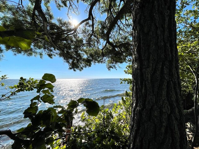 Pine Island, Isle, MN 56342 - photo 14