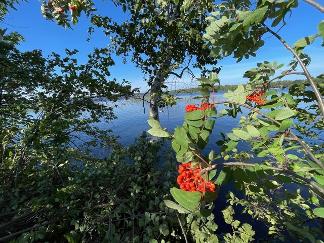 Pine Island, Isle, MN 56342 - photo 15