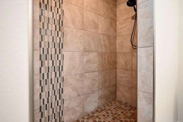 1160 21st St, Wabasha, MN 55981 - full bath featuring tiled shower