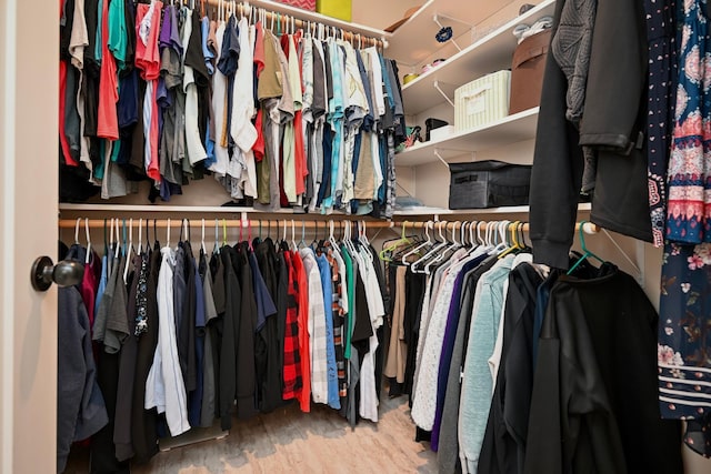 1160 21st St, Wabasha, MN 55981 - walk in closet with wood finished floors