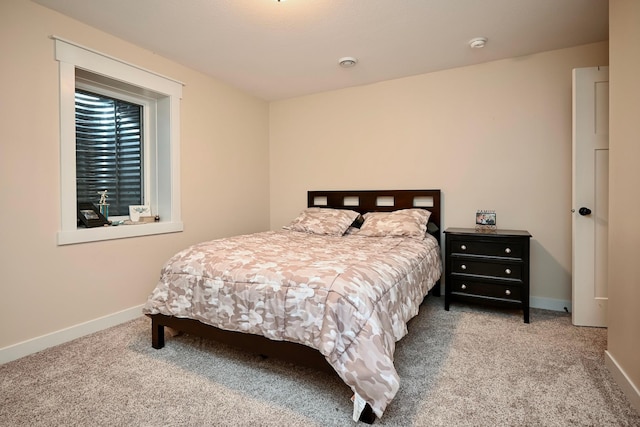 1160 21st St, Wabasha, MN 55981 - bedroom featuring carpet and baseboards