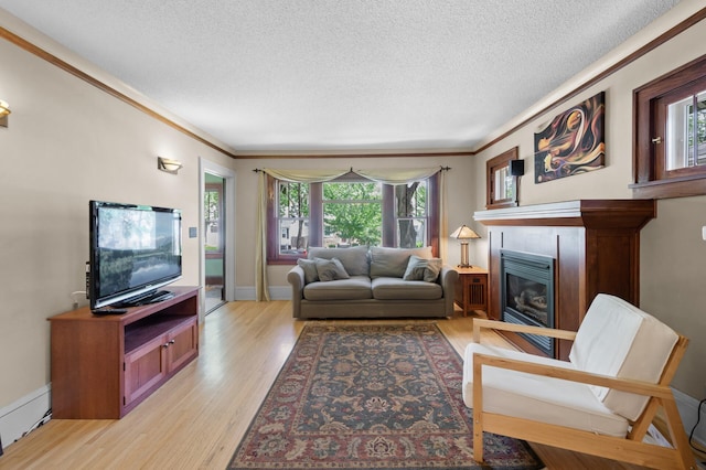 5136 16th Ave S, Minneapolis, MN 55417 - living area featuring plenty of natural light, crown molding, a textured ceiling, light wood-style floors, and a glass covered fireplace