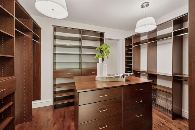 370 Ferndale Rd W, Wayzata, MN 55391 - spacious closet featuring dark wood-style floors