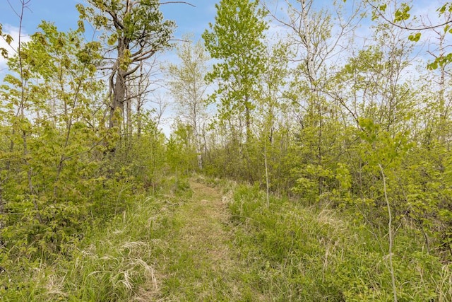 4085 County Rd 6, Barnum, MN 55767