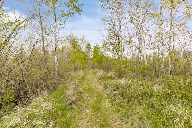 4085 County Rd 6, Barnum, MN 55767