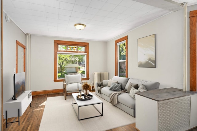 857 Oakdale Ave, Saint Paul, MN 55107 - living area with radiator, healthy amount of natural light, dark wood-style flooring, and baseboards