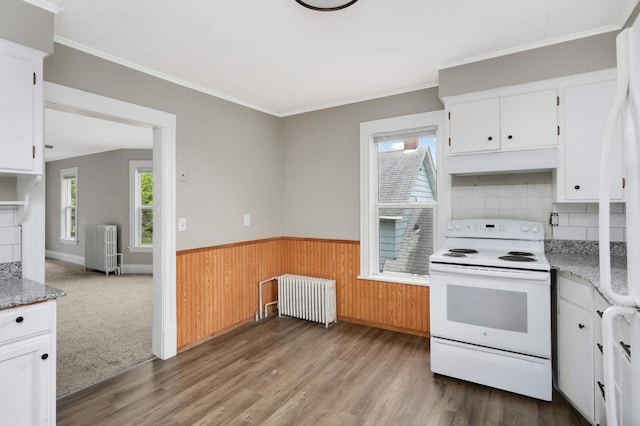 857 Oakdale Ave, Saint Paul, MN 55107 - kitchen featuring electric range, radiator, white cabinetry, dark wood-style floors, and a wainscoted wall