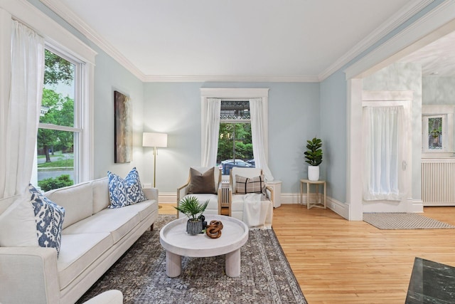 1929 Humboldt Ave S, Minneapolis, MN 55403 - living room with wood finished floors, healthy amount of natural light, crown molding, baseboards, and radiator