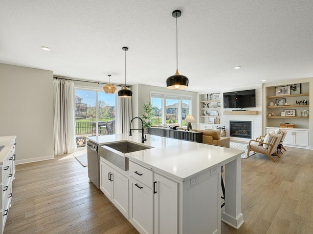 15441 110th Ave N, Dayton, MN 55369 - kitchen with a sink, stainless steel dishwasher, light wood-type flooring, a glass covered fireplace, and light countertops
