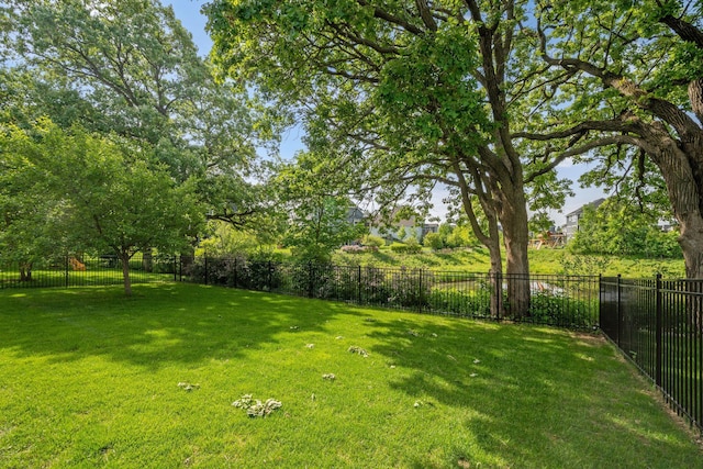 4847 Ashton Curv, Woodbury, MN 55129 - view of yard
