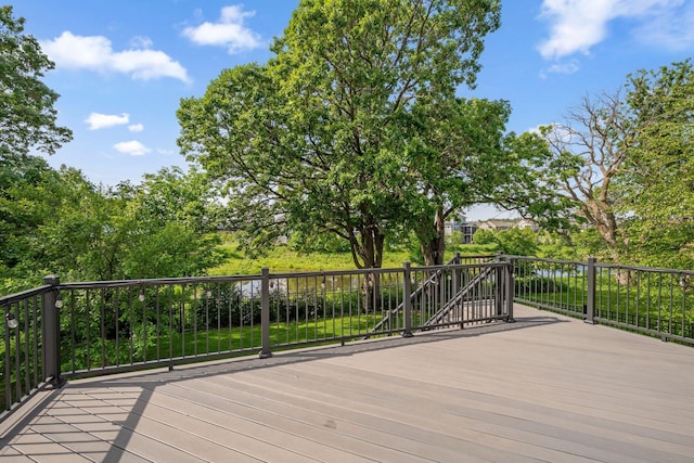 4847 Ashton Curv, Woodbury, MN 55129 - view of deck