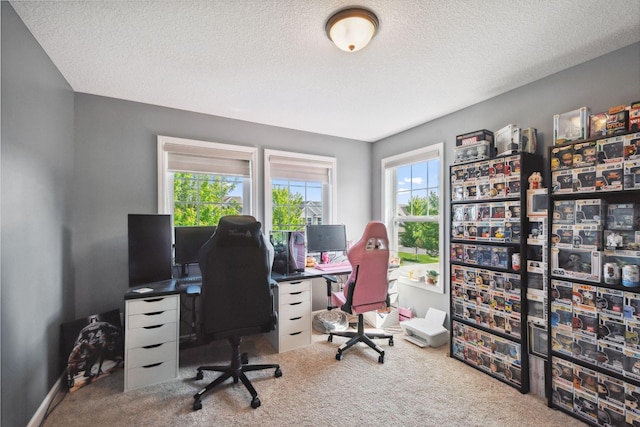 4847 Ashton Curv, Woodbury, MN 55129 - office with carpet floors and a textured ceiling