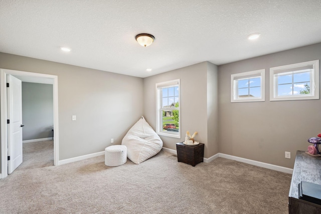 4847 Ashton Curv, Woodbury, MN 55129 - recreation room with carpet, a textured ceiling, baseboards, and recessed lighting