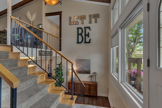 1276 13th Ave N, Saint Cloud, MN 56303 - stairway featuring wood finished floors, a high ceiling, baseboards, and wooden walls