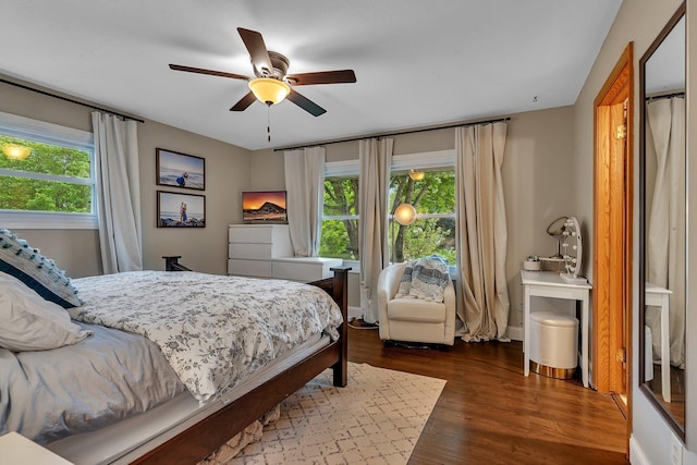 1276 13th Ave N, Saint Cloud, MN 56303 - bedroom featuring multiple windows, wood finished floors, and ceiling fan