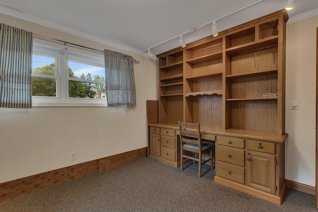 1276 13th Ave N, Saint Cloud, MN 56303 - unfurnished office with rail lighting, built in study area, and dark colored carpet